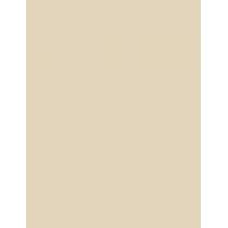 Inebrya Bionic Color      10/13 Blonde Platinum Beige 100ml(Hair Color) Unisex