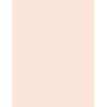 Sensilis Photocorrection [D-Pigment Make-Up]   SPF50+   01 Natural Rose 10g(Makeup) Unisex