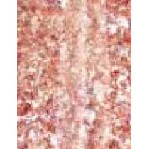 Sally Hansen Insta-Dri 9,17Ml    (Nail Polish) Für Frauen  258 Shooting Star