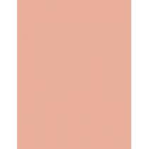 Max Factor Creme Puff   14G 81 Truly Fair   Für Frauen (Powder)