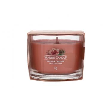 Yankee Candle Tropical Breeze   37G    Unisex (Scented Candle)