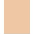 Shiseido Synchro Skin Self-Refreshing  SPF30   240 Quartz 30ml(Makeup) für Frauen
